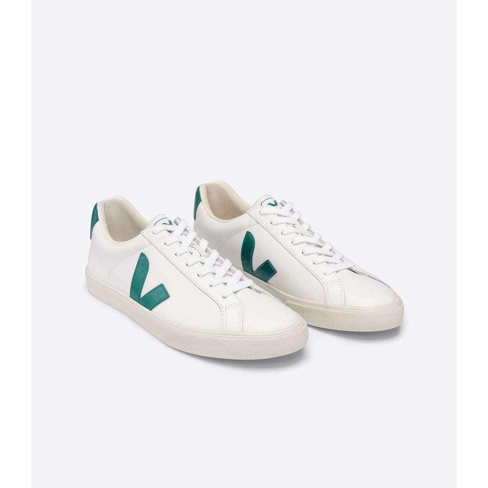 Veja ESPLAR LEATHER Men's Sneakers White/Green | NZ 305ZUT